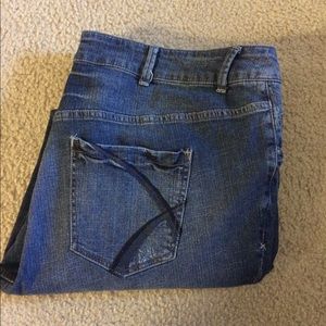 Lane Bryant bootcut jeans. Size 24.